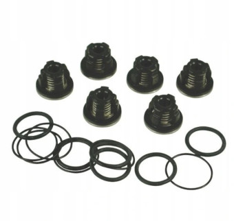 Комплект клапанов AR (для насосов серии AR , 1409050 + 620030 + 540361, 6шт)