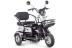 Трицикл электрический Rutrike Gelbert Caf (48/60V, 600W, белый)