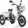 Трицикл электрический Eltreco Porter Fat 500 (серебристый)