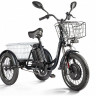 Трицикл электрический Eltreco Porter Fat 500 (черный)