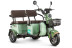 Трицикл электрический Rutrike Gelbert Kang (48/60V, 800W, зеленый)