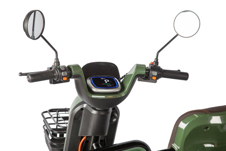 Трицикл электрический Rutrike Gelbert Kang (48/60V, 800W, зеленый)