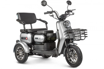 Трицикл электрический Rutrike Патрон (серый)