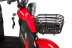 Трицикл электрический Rutrike Gelbert Kappa (48/60V, 650W, красный)