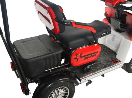 Трицикл электрический Rutrike Gelbert Lich(48/60V, 600W, синий)