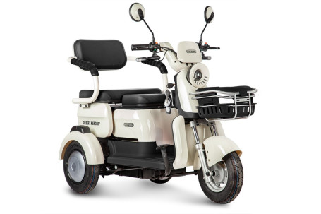 Трицикл электрический Rutrike Gelbert Mercury (48/60V, 650W, черный)