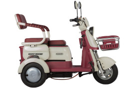 Трицикл электрический Rutrike Gelbert Mercury (48/60V, 650W, черный)