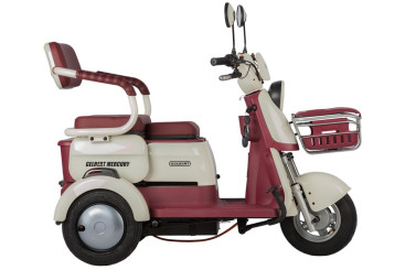 Трицикл электрический Rutrike Gelbert Mercury (48/60V, 650W, синий)