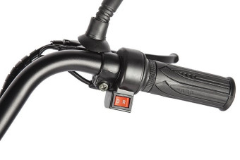 Трицикл электрический Eltreco Porter Fat 700 (серебристый)