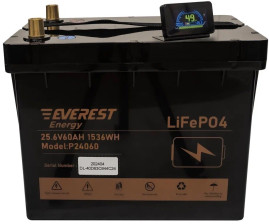 Тяговый аккумулятор Everest Energy LFP-2460 PRO (24В, 60Ач, LiFePO4)