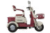 Трицикл электрический Rutrike Gelbert Mercury (48/60V, 650W, бело-красный)
