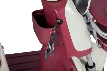 Трицикл электрический Rutrike Gelbert Mercury (48/60V, 650W, бело-красный)