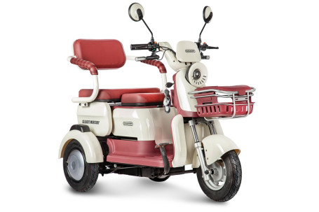Трицикл электрический Rutrike Gelbert Mercury (48/60V, 650W, бело-красный)