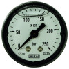 Манометр (250бар, 1/8"внеш, вход сзади, пласт) R+M