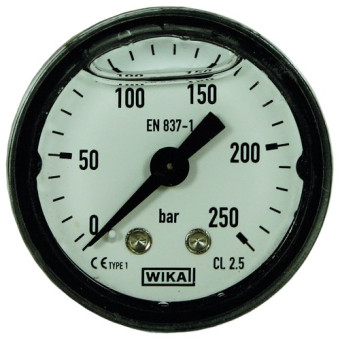 Манометр (250бар, 1/8"внеш, вход сзади, пласт) R+M