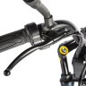 Трицикл электрический Eltreco Porter Fat 700 (черный)