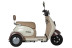 Трицикл электрический Rutrike Gelbert Ogma (48/60V, 650W, бело-коричневый)