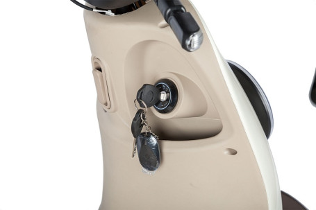 Трицикл электрический Rutrike Gelbert Ogma (48/60V, 650W, бело-коричневый)