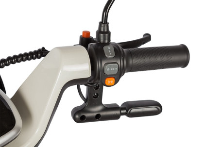 Трицикл электрический Rutrike Gelbert Ogma (48/60V, 650W, бело-коричневый)