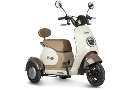 Трицикл электрический Rutrike Gelbert Ogma (48/60V, 650W, бело-коричневый)