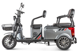 Трицикл электрический Rutrike Экипаж (серый)
