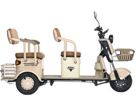 Трицикл электрический Rutrike Gelbert Atlas 48V/60V 600Вт (зеленый)
