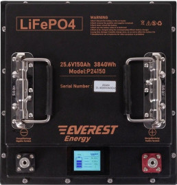 Тяговый аккумулятор Everest Energy LFP-24150 PRO(24В, 150Ач, LiFePO4)