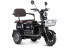 Трицикл электрический Rutrike Gelbert Sun (48/60V, 650W, черный)