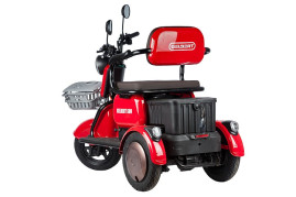 Трицикл электрический Rutrike Gelbert Sun (48/60V, 650W, черный)