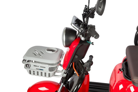 Трицикл электрический Rutrike Gelbert Sun (48/60V, 650W, зелено-белый)