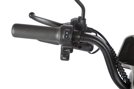 Трицикл электрический Rutrike Gelbert Sun (48/60V, 650W, зелено-белый)