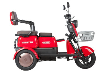Трицикл электрический Rutrike Gelbert Sun (48/60V, 650W, фиолетово-белый)