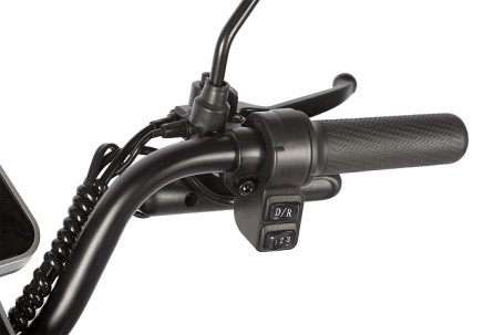 Трицикл электрический Rutrike Gelbert Sun (48/60V, 650W, фиолетово-белый)