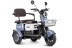 Трицикл электрический Rutrike Gelbert Sun (48/60V, 650W, фиолетово-белый)