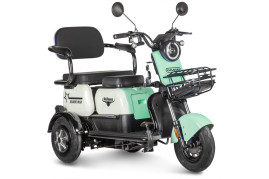 Трицикл электрический Rutrike Gelbert Vega 48V/60V 600Вт (зеленый)