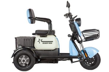 Трицикл электрический Rutrike Gelbert Vega 48V/60V 600Вт (красный)