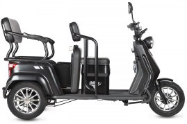 Трицикл электрический Rutrike Топик (черный)