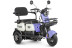 Трицикл электрический Rutrike Gelbert Vega 48V/60V 600Вт (фиолетовый)