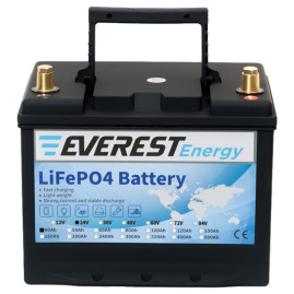 Тяговый аккумулятор Everest Energy (24В, 40Ач, LiFePO4)
