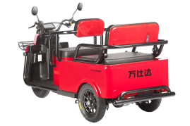 Трицикл электрический Wanshida LC-F200 60V 1000Вт (зеленый)