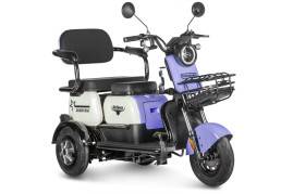 Трицикл электрический Rutrike Gelbert Vega (48/60V, 600W, фиолетовый)