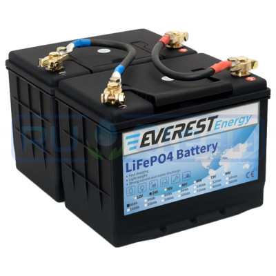 Тяговый аккумулятор Everest Energy (24В, 80Ач (40+40), LiFePO4)