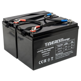 Тяговый аккумулятор Everest Energy (24В, 108Ач (54+54), LiFePO4)