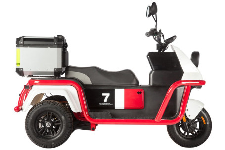 Трицикл электрический Wanshida DOUHAO (60V, 800W, черно-бело-красный) (0000294-3069)