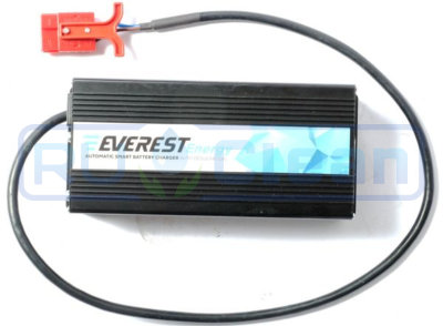 Зарядное устройство EVEREST Energy EVE-24-20