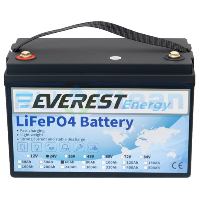 Тяговый аккумулятор Everest Energy (24В, 120Ач (60+60), LiFePO4)