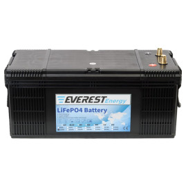 Тяговый аккумулятор Everest Energy (24В, 160Ач, LiFePO4)