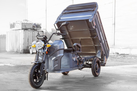 Трицикл электрический Rutrike Мастер 1500 60V1000W (серый)
