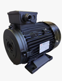 Электродвигатель Titan (22кВт, 380/220В, 1450об/мин, п.в. 24мм, Dфл 87мм, H160)