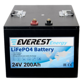 Тяговый аккумулятор Everest Energy (24В, 204Ач, LiFePO4)